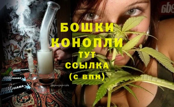 гидра Покров