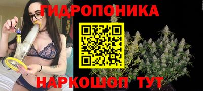 наркотики Аргун