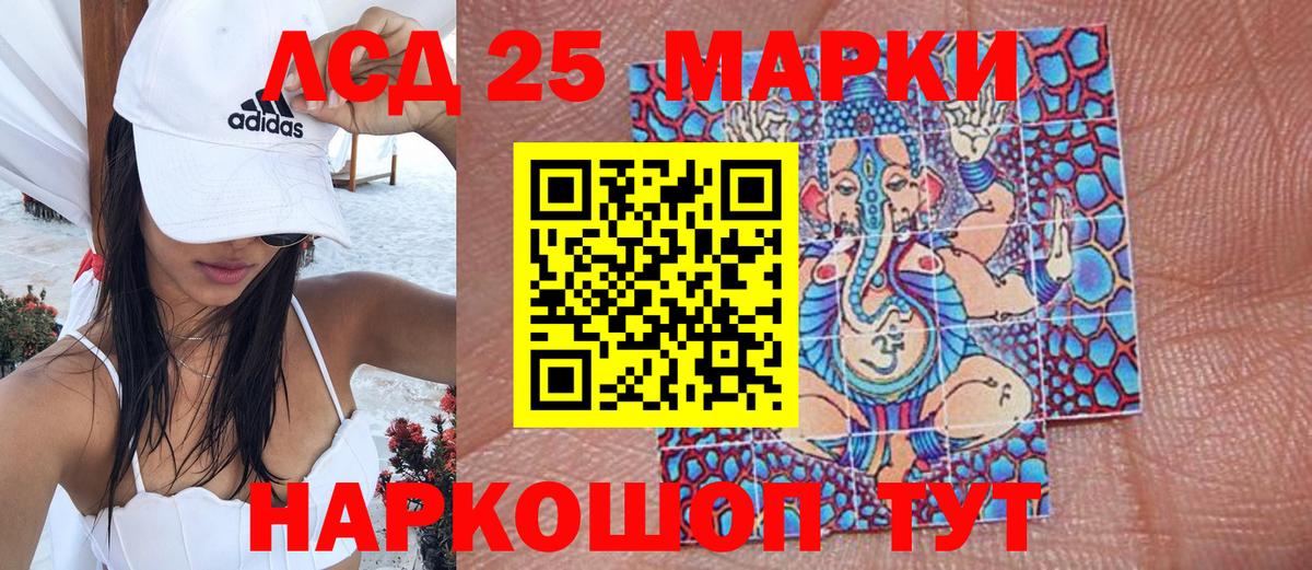 Псилоцибиновые грибы Бахчисарай