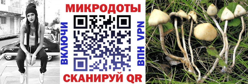 Галлюциногенные грибы Psilocybine cubensis  цены наркотик  Бахчисарай 